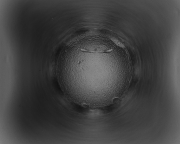 X0000100390376200806061259