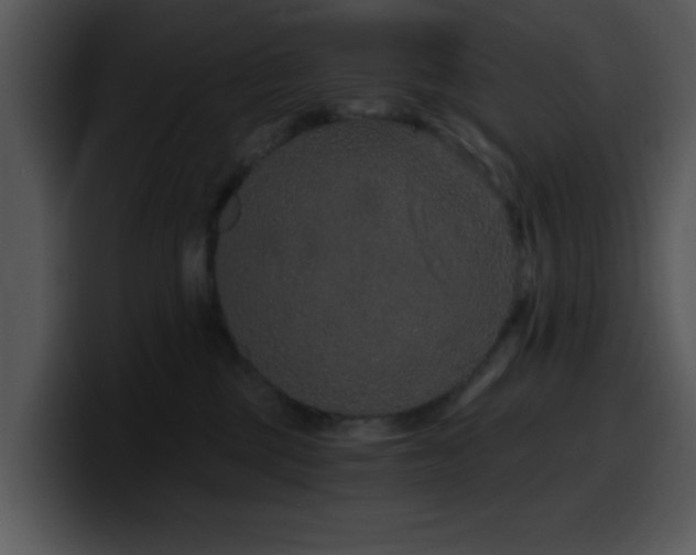 X0000100390377200806061259