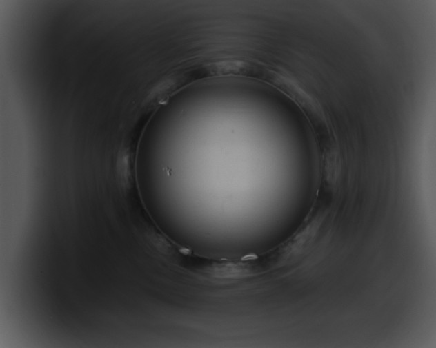 X0000100390378200806061259
