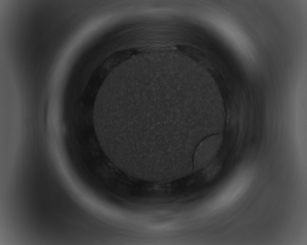 X0000100390383200806061259
