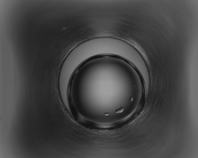 X0000100390385200806061259
