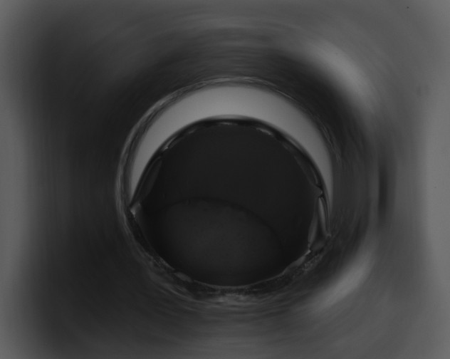 X0000100390387200806061259