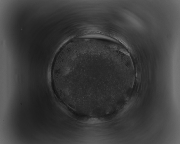 X0000100390390200806061259