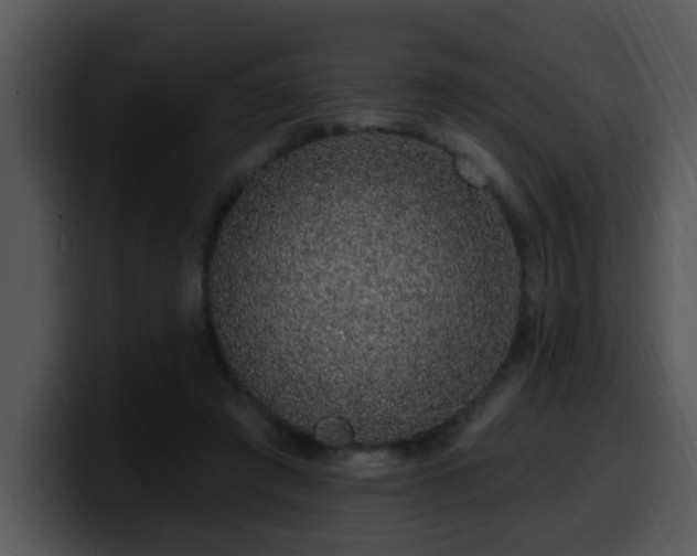 X0000100390401200806061258