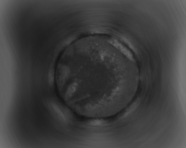X0000100390402200806061258