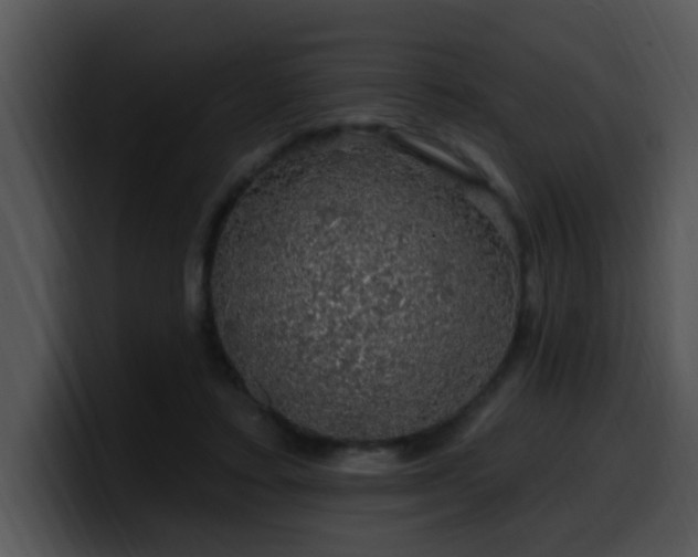 X0000100390403200806061258