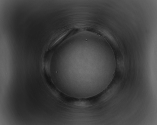 X0000100390404200806061258