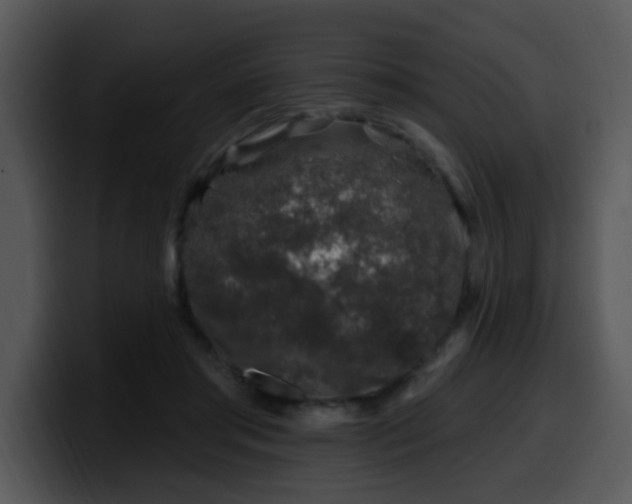 X0000100390405200806061258