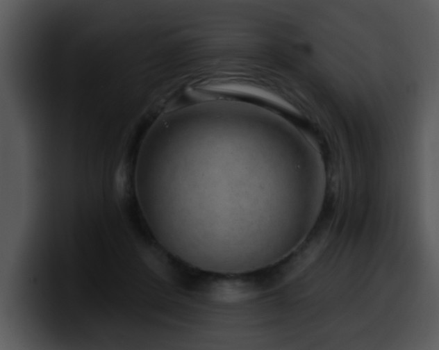 X0000100390408200806061258