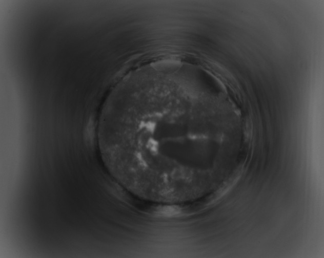 X0000100390409200806061258