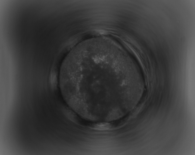 X0000100390410200806061258