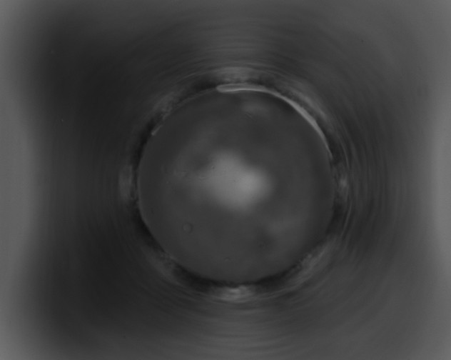 X0000100390411200806061258