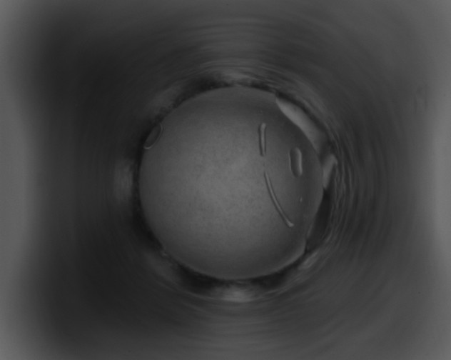 X0000100390412200806061258