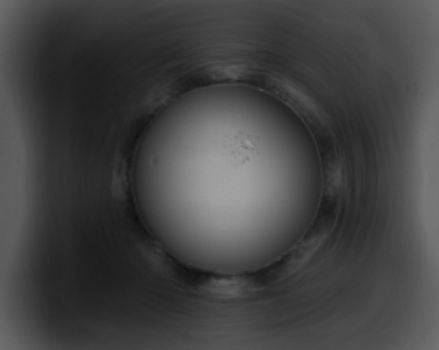 X0000100390414200806061258