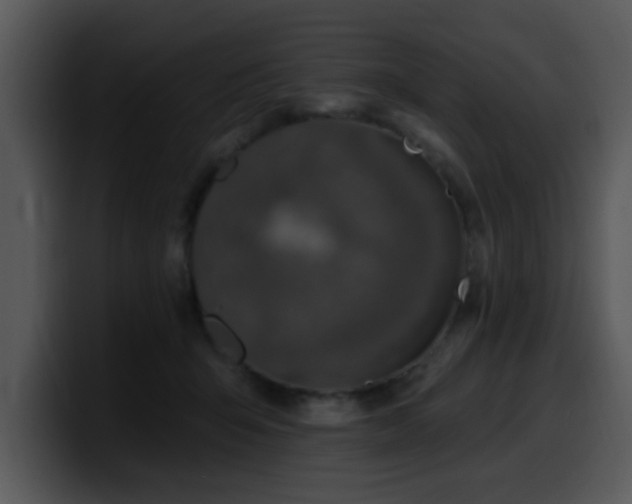 X0000100390415200806061258