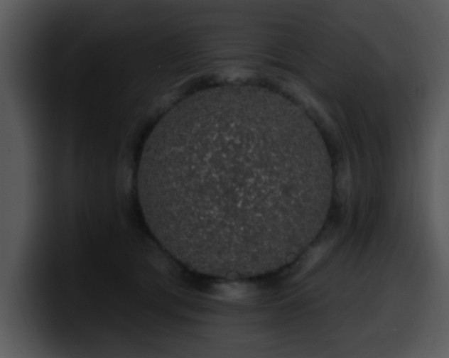 X0000100390417200806061258