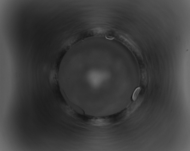 X0000100390419200806061258