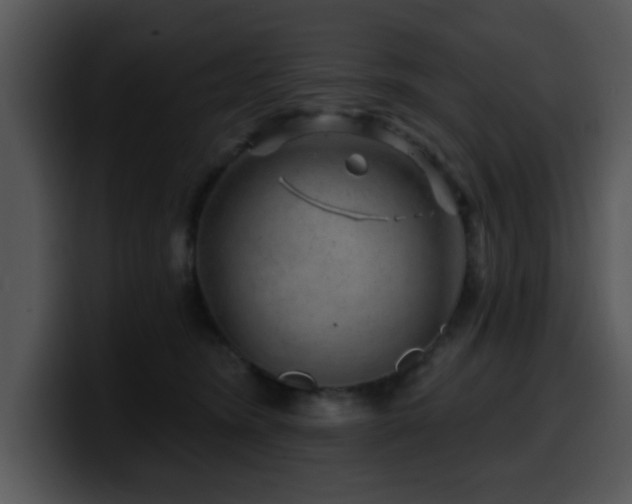 X0000100390420200806061258