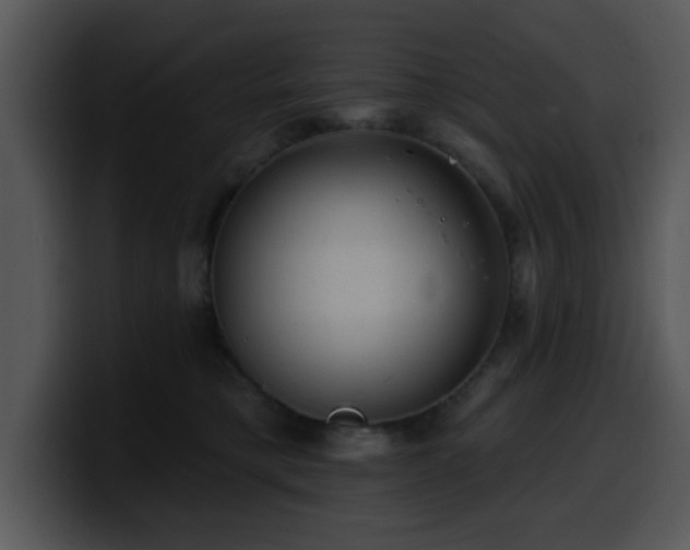X0000100390421200806061258