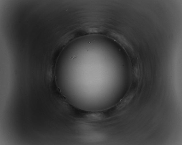 X0000100390422200806061258