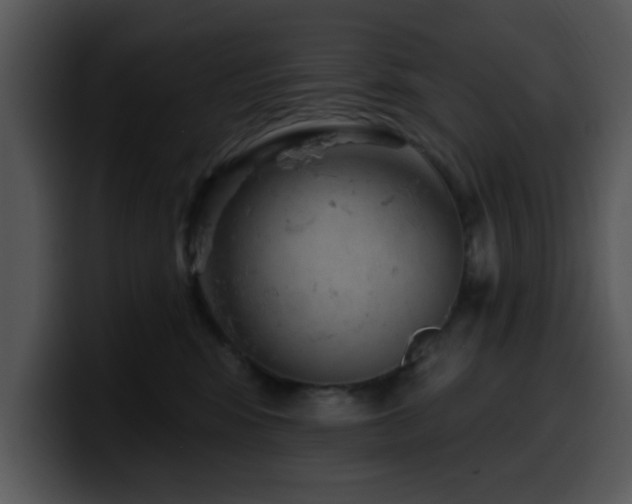 X0000100390424200806061258