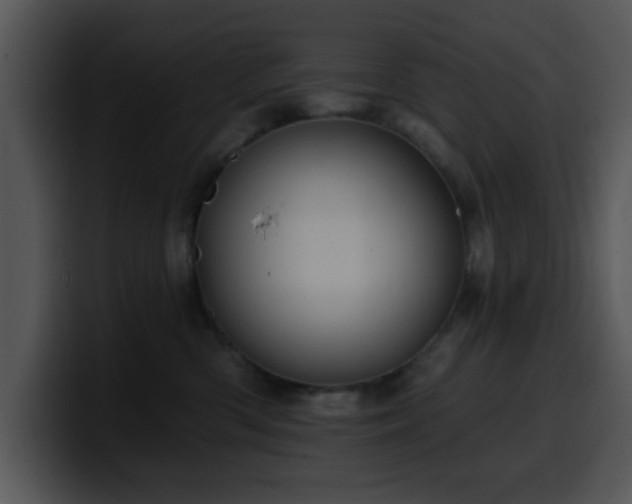 X0000100390426200806061258