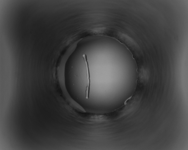 X0000100390428200806061258