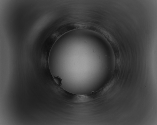 X0000100390429200806061258