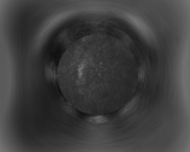 X0000100390431200806061258