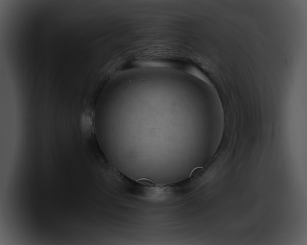 X0000100390432200806061258