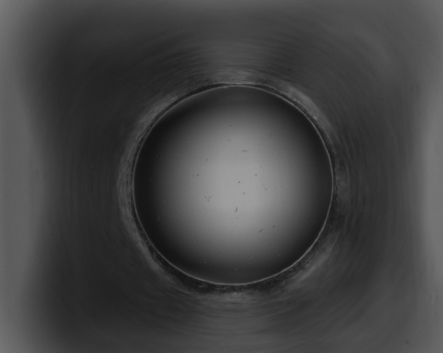 X0000100390433200806061257