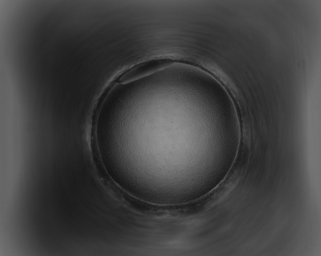 X0000100390434200806061257