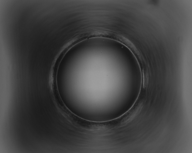 X0000100390435200806061257