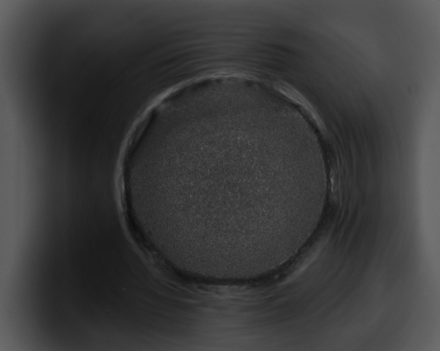 X0000100390436200806061257