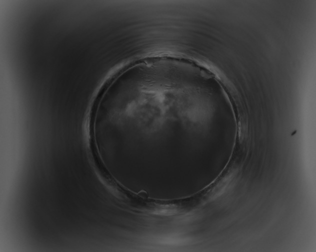 X0000100390438200806061257
