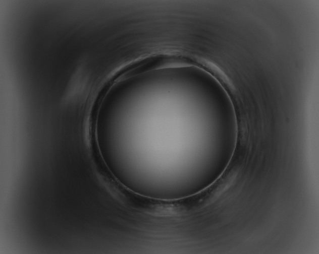 X0000100390439200806061257