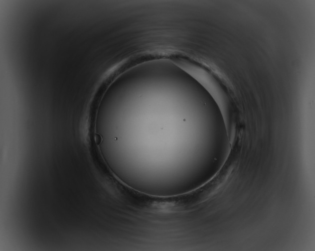 X0000100390440200806061257
