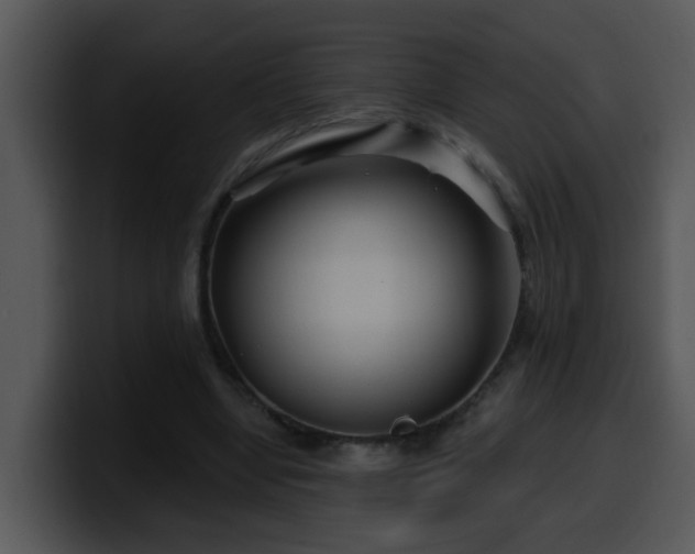 X0000100390442200806061258