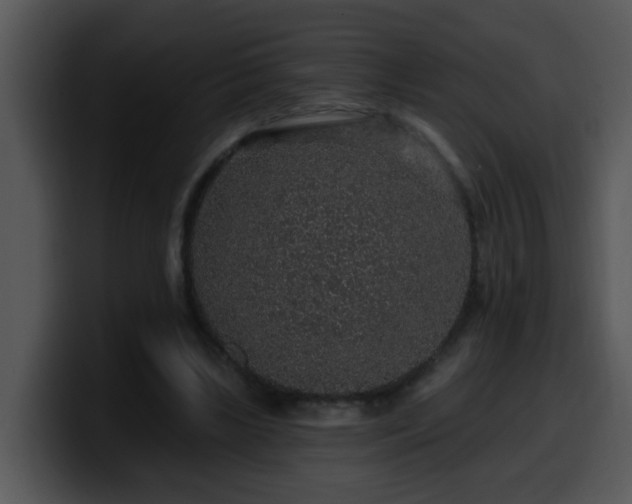 X0000100390443200806061258