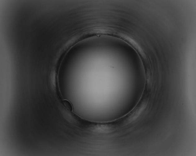 X0000100390445200806061258