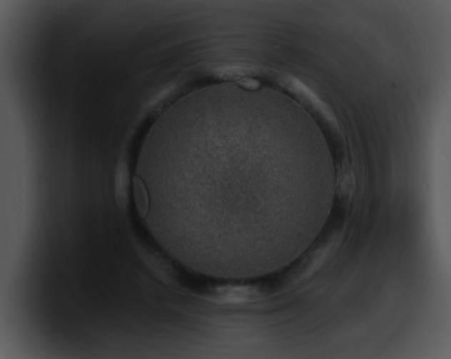 X0000100390448200806061258