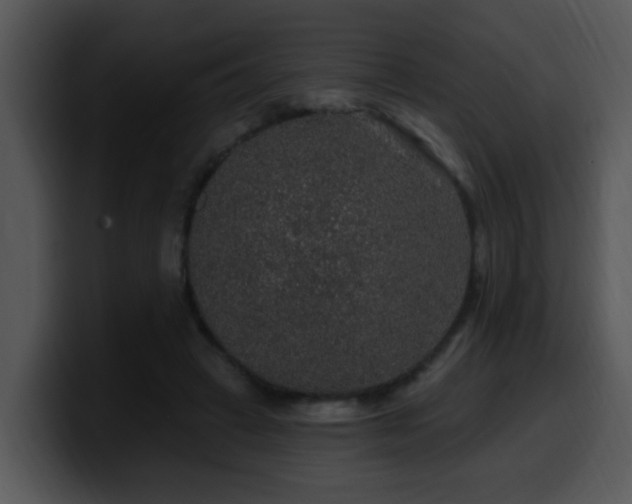X0000100390449200806061258