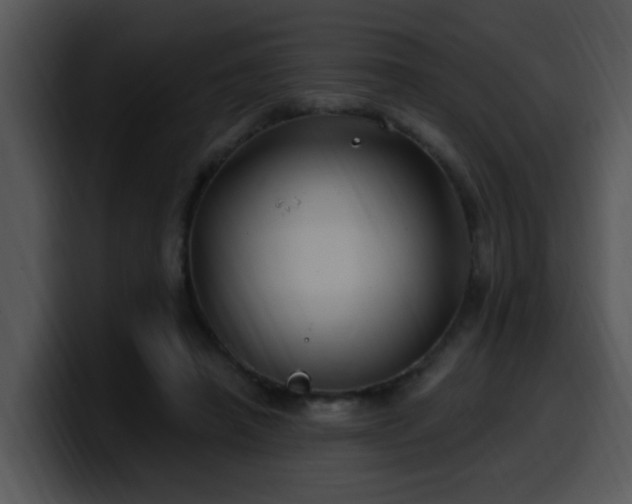X0000100390450200806061258
