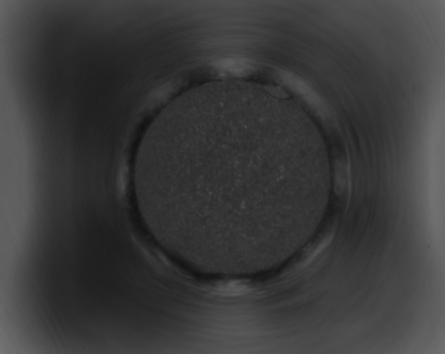 X0000100390451200806061258