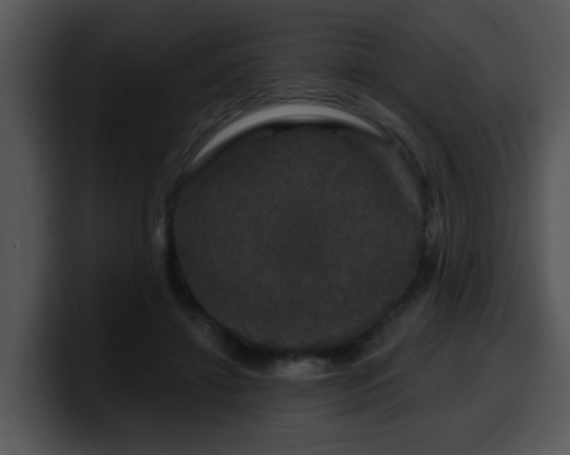 X0000100390452200806061258