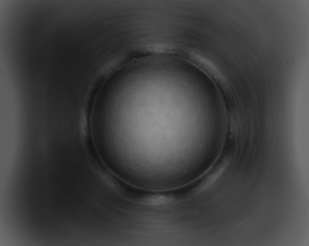 X0000100390453200806061258