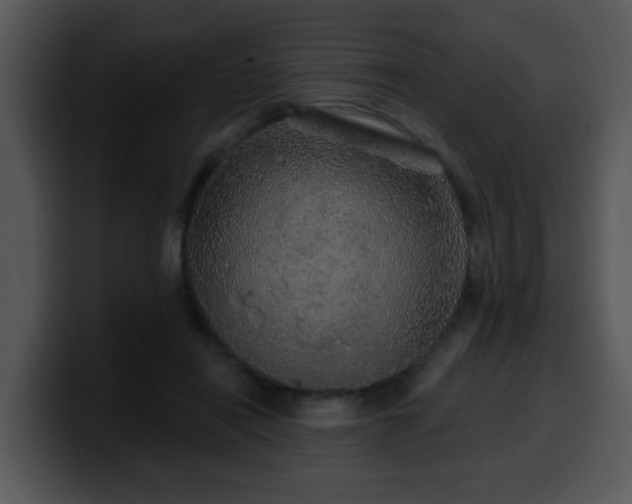 X0000100390454200806061258