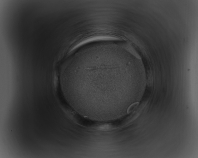 X0000100390456200806061258