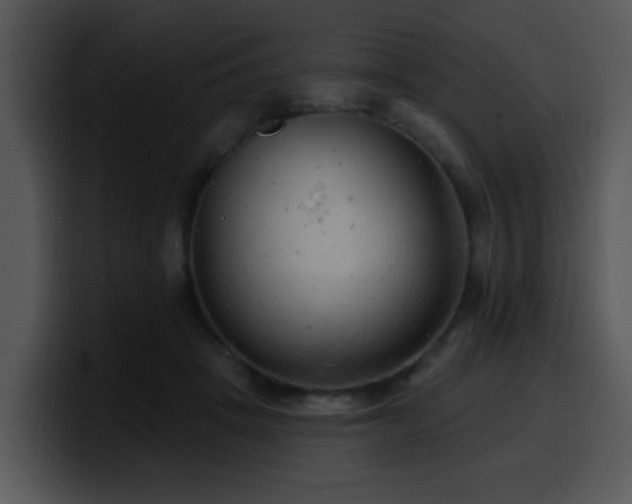 X0000100390457200806061258