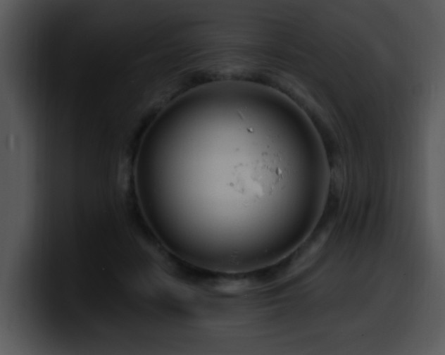 X0000100390458200806061258